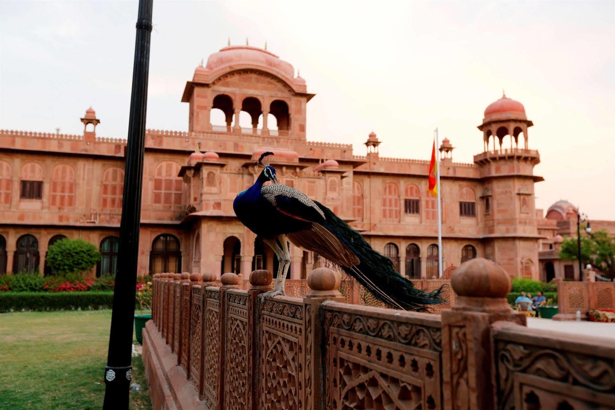 The Lallgarh Palace A Heritage Hotel 比卡内尔 外观 照片